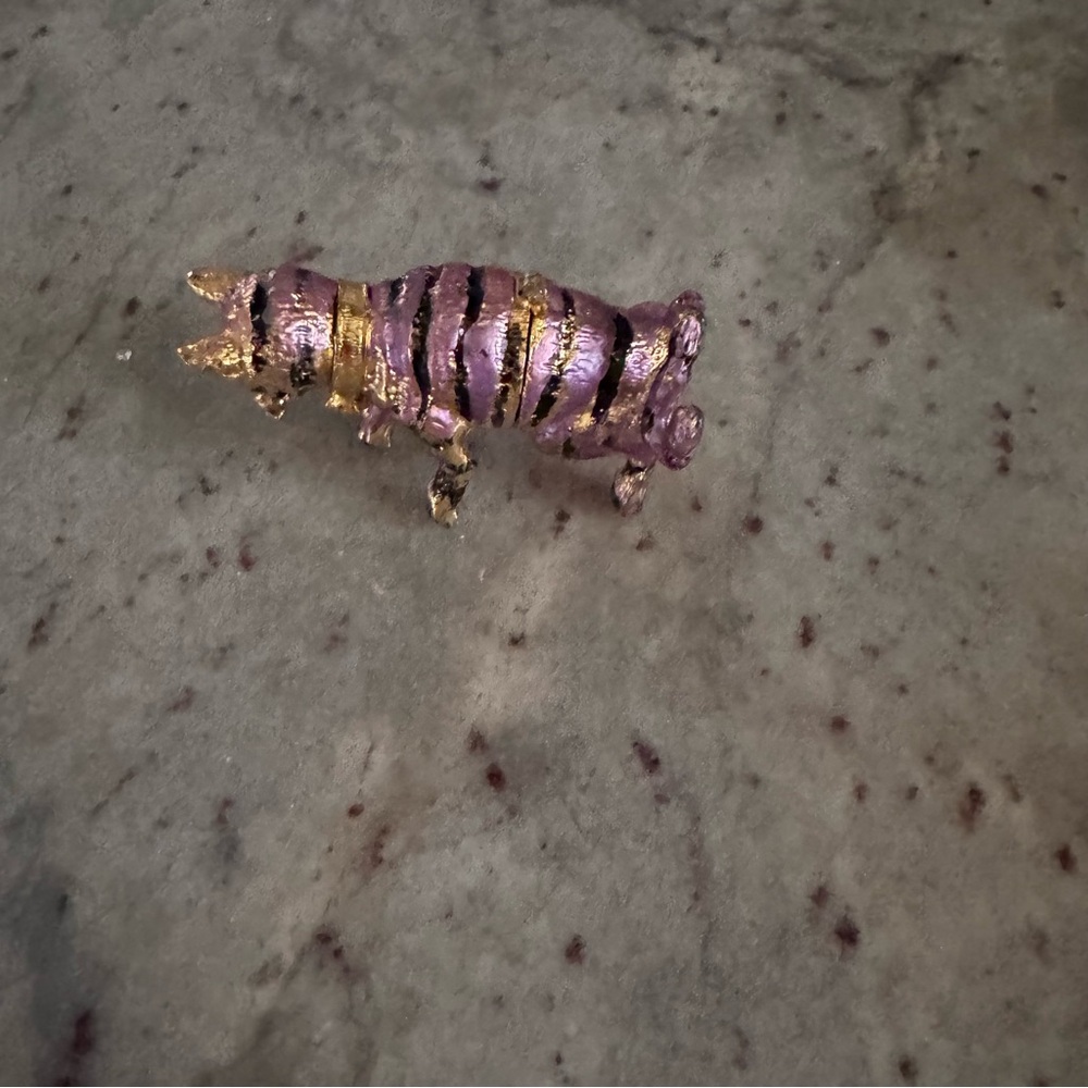 a pink cat, gold trim, black stripes, trinket
